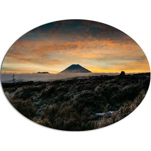 WallClassics - Dibond Ovaal - Uitzicht op Vulkaan in de Verte - 96x72 cm Foto op Ovaal (Met Ophangsysteem)