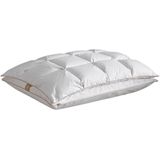 De Witte Lietaer - Bilancia - Hoofdkussen - Talalay Latex - Eendendons