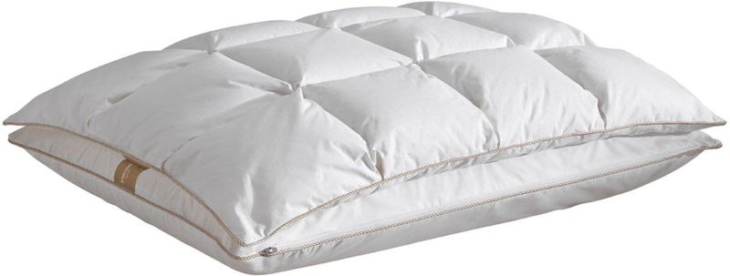 De Witte Lietaer - Bilancia - Hoofdkussen - Talalay Latex - Eendendons