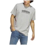 Adidas All Szn Graphic T-shirt Met Korte Mouwen Grijs M Regular Man