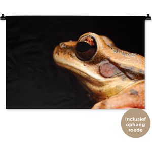 Wandkleed Dieren - Close-up kikker op zwarte achtergrond Wandkleed katoen 90x60 cm - Wandtapijt met foto