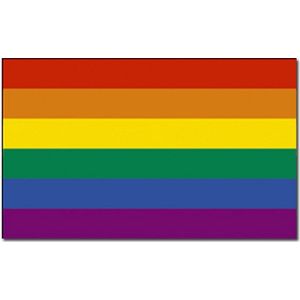 Regenboog vlag 90 x 150 cm - Polyester vlag - LGBT - Inclusief 2 ophangringetjes - Gay pride - Gay vlag