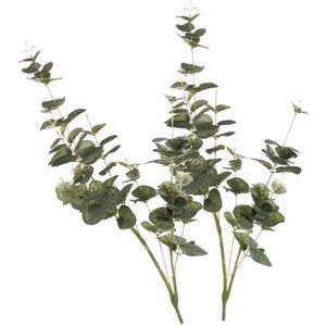 2x Groene Eucalyptus Kunsttakken Kunstplanten 75 cm - Kunstplanten/Kunsttakken