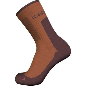 Icebreaker Merino Hike+ Medium Crew Sokken Bruin EU 41-43 Vrouw