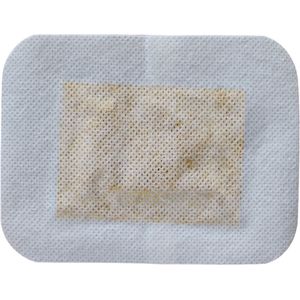 Detox voetpleister | Gember (32 stuks) - Ontgiften, betere stofwisseling, betere nachtrust, meer energie