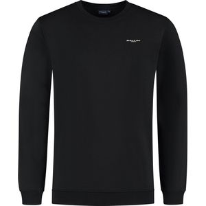 Ballin sweater met backprint zwart