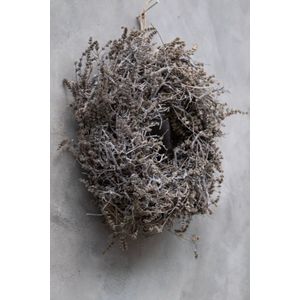 Couronne - Krans van bonsai en lavendel 'Wild' (Ø40cm)