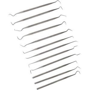 Tandsteenverwijderaar /Tandenbleekkits \Tandenstokers -dental cleaning kit for tartar remover, 12