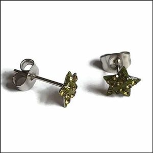 Aramat Jewels Oorbellen - Stalen Sterren Oorbellen - Roestvrij staal - Vrouwen - Kinderen - 7