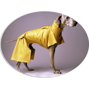 PVC Schuimplaat Ovaal - Zijaanzicht van Duitse Dog Hond in Gele Regenjas - 56x42 cm Foto op Ovaal (Met Ophangsysteem)