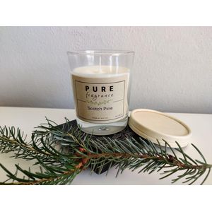 Pure Fragrance - Geurkaars in glas - Scotch Pine - dennen - dennengeur