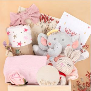 Baby Meisje Cadeaumand Met Rammelaar En Inbakerdeken - Uniek Pasgeboren Meisjes Geschenk Met Essentiële Spullen - Perfect Kraamcadeau Of Gender Reveal Gift