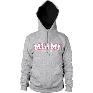 Hybris Miami Florida Hoodie Heather-Grey-XL