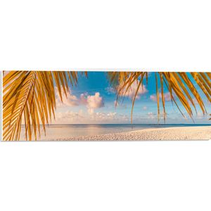 PVC Schuimplaat- Stand met Overhangende Palmbladeren - 60x20 cm Foto op PVC Schuimplaat