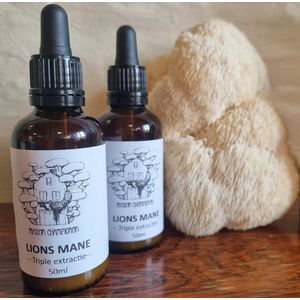 Lion’s Mane Tinctuur 50ml – Natuurlijke Paddenstoelen Extract – Focus, Geheugen & Energie – Triple Extraction