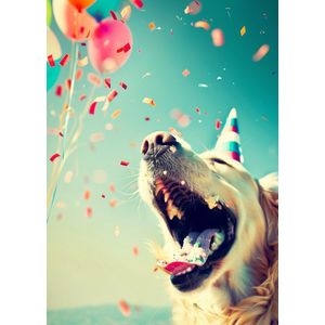 Golden Retriever Verjaardagskalender - Zonnige Momenten Elke Maand - Het Ultieme Cadeau voor Hondenliefhebbers