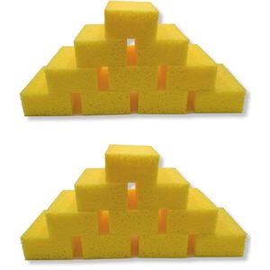 Universele Absorberende Spons - 20 Stuks, Fijn 160 x 110 x 60 mm