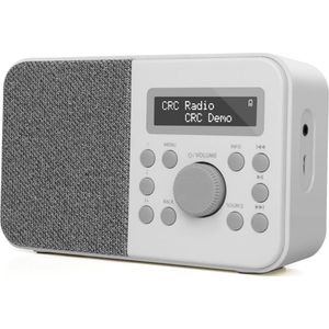 Draagbare DAB, DAB+ digitale radio & FM radio, Bluetooth-luidspreker, persoonlijke DAB-radio met display, alarmklok & klok, 40 vooraf ingestelde zenders, ...