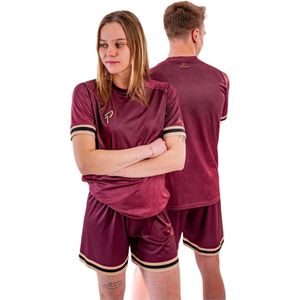 Proma Sports - Performance Shirt - Fade Burgundy - 116/128 - ESPORTS / FOOTBALL Tenue - Kinderen - Volwassenen - Unisex - Teamsports - Fitnessshirt - Voetbalshirt - Tennisshirt - Padelshirt - Gamingshirt - Virtual Sim Racing F1 GT