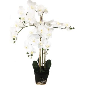 Grote Levensechte Kunst Orchidee / Phlaenopsis plant 100 cm met pot ( 5-taks vol bloemen) kleur Wit - Kunstplant