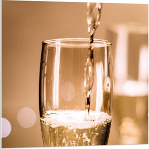 Forex - Champagneglas - 80x80cm Foto op Forex