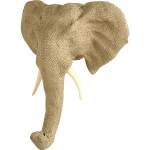 QUAX - DIERENKOP TROFEE - OLIFANT