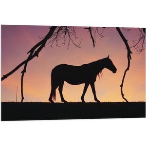 Vlag - Silhouet van Paard onder Boom tegen Rozekleurige Lucht - 90x60 cm Foto op Polyester Vlag