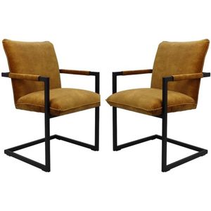Eetkamerstoel set van 2 stuks