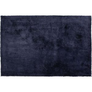 EVREN - Shaggy Vloerkleed - Blauw - 200 X 300 cm - Polyester