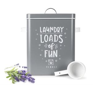 Waspoederdoos 6L metalen doos met deksel en schep wasmiddelbox opbergdoos wasmiddeldoos grijs