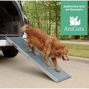 Uitschuifbare Loopplank voor Honden - PetSafe Happy Ride Deluxe Telescoping - Gemakkelijk en Veilig toegang tot auto's & meubels - XL