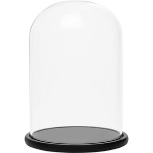 Provento - M.2 naar MSATA SSD Adapter Converterkaart voor Solid State Drive - Mini SATA 3.0 Harde Schijf Adapter - B/B+M Sleutel - Behuizing Converter - Opslaguitbreiding