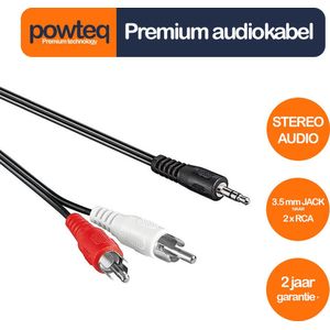 Powteq - 10 meter premium audiokabel - 2x RCA naar 3.5 mm jack (hoofdtelefoonaansluiting) - Stereo