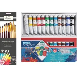 Topwrite Acrylverf schilderset - 12x gekleurde tubes van 12 ml - met 10x schilderpenselen
