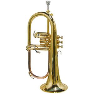 Stewart Ellis SE-1100-L Pro Series bugel messing lak incl. softcase