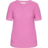 Trui - Effen - Slanke Pasvorm - Kwartmouw - Normale Lengte - Viscose