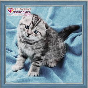 Artibalta Diamond Painting pakket Kitten AZ-1465 40 x 40 cm