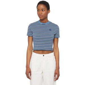 Dickies Altoona Stripe T-shirt Met Korte Mouwen Blauw M Vrouw