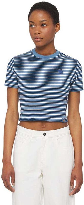 Dickies Altoona Stripe T-shirt Met Korte Mouwen Blauw M Vrouw