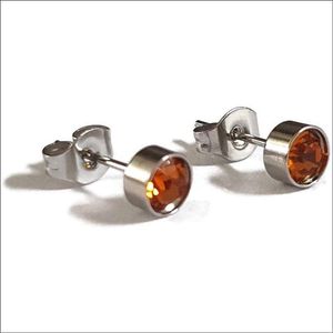 Aramat jewels ® - Zweerknopjes oorbellen rond oranje zilverkleurig chirurgisch staal 5mm
