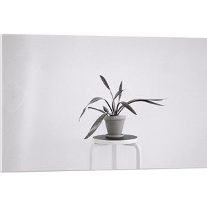 Forex - Zwart-Witte foto van Plant op Kruk - 90x60cm Foto op Forex