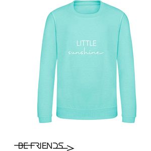 Be Friends Sweater - Little sunshine - Heren - Mint groen - Maat S