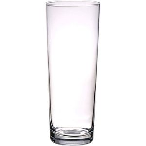 Rechte Cilinder Vaas/Vazen Glas 24 cm - Kleine Glazen Vaasjes - Bloemenvazen van Glas