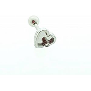 Mooie Helixpiercing Hartje Zirkonia