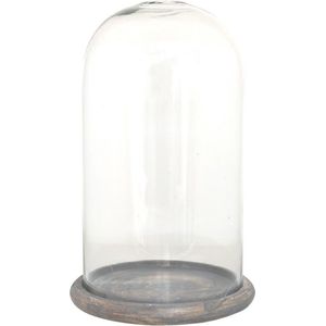 Stolp Ø 17*29 cm Transparant Glas, Hout Glazen stolp Woondecoratie Woonaccessoires