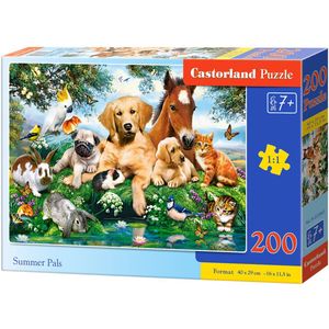 Summer Pals- 200pcs