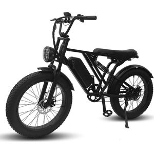 Y24 Fatbike E-Bike 250Watt motorvermogen topsnelheid 25 Km/U 24X4.0” grote Banden 8 Versnellingen afstand 100 km