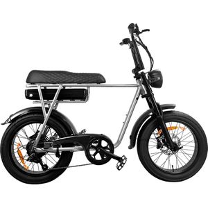EB2 Fatbike E-bike 250Watt motorvermogen topsnelheid 25 km/u 20X4.0” Banden 7 Versnellingen met alarm