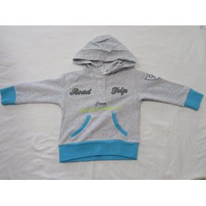 dirkje , jongens , trui ,s-shirt met kap , grijst , 80 - 12 maand