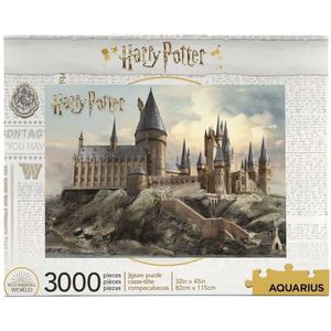 Aquarius Harry Potter - Hogwarts / Zweinstein Jigsaw Puzzle / Puzzel